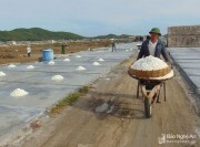 Muối Nghệ An giá tăng kỷ lục