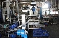 Khuyến công khu vực phía Nam: Bám sát tiềm năng địa phương