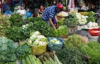 Trước mưa bão, giá rau xanh tăng 