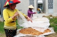 Khuyến công Cà Mau: Cầu nối kinh doanh hiệu quả