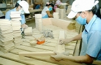 Nghị định 121/2018/NĐ-CP: Phù hợp và kịp thời