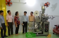 Vĩnh Long: Tạo lực đẩy phát triển công nghiệp nông thôn