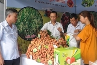 Phát triển thị trường cho nông sản sạch: Chính sách và thực tiễn chưa gặp nhau