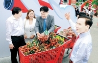 Xuất khẩu nông - thủy sản sang Trung Quốc: Tìm giải pháp bền vững