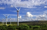 PCC1 ký hợp đồng EPC Dự án điện mặt trời Phước Thái 1 PV và Dự án nhà máy điện gió Đại Phong