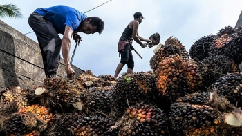 EVFTA và động lực cho các nước Đông Nam Á hậu Covid-19