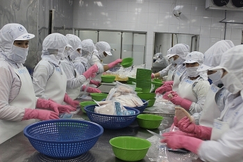 Xuất khẩu cá ngừ đột ngột giảm sâu