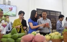 Tìm cơ hội xuất khẩu nông sản sang Bắc Âu