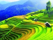 Cơ chế quản lý tài chính mới đối với Quỹ Bảo vệ môi trường