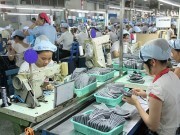 Phí, phụ phí xuất nhập khẩu: Giảm không đáng kể