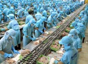 Nâng cao hiệu quả công cụ phòng vệ thương mại