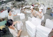 Thỏa thuận xuất khẩu gỗ với EU sắp đạt được