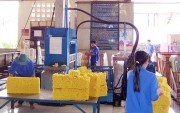 Xuất khẩu cao su vào EU sẽ khó khăn