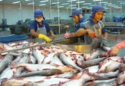 Xuất khẩu cá tra gặp khó ở thị trường lớn