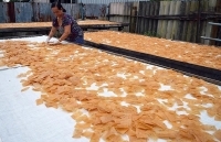 Thực hiện chương trình khuyến công tại Đồng Tháp: Đi vào chiều sâu