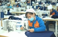 Tình hình lao động việc làm: Chuyển biến khả quan