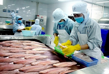 Tái cơ cấu ngành hàng cá tra theo hướng hiện đại
