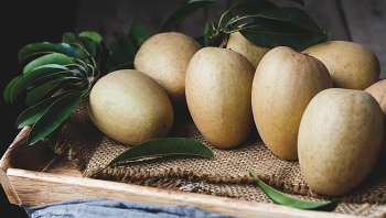 Giá hồng xiêm tại Tiền Giang tăng mạnh, nông dân lãi trên 50%