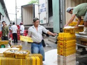 Xuất khẩu thủy sản: Giảm mạnh cả lượng và giá