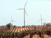 Tata Power muốn đầu tư dự án điện gió ở Ninh Thuận