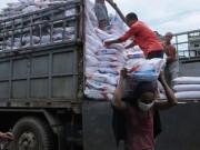 Thị trường phân bón: Giá giảm do có cạnh tranh