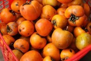 Hồng Đà Lạt mất mùa thê thảm