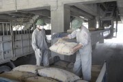 Ngành Xi măng: Nỗ lực cân đối cung - cầu