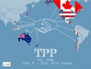 Hội nhập không phụ thuộc vào TPP