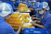 Công tác khởi kiện nợ bảo hiểm: Còn vướng mắc