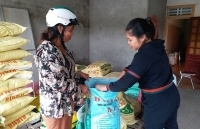 Thức ăn chăn nuôi: Khó tiêu thụ