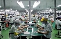 Ninh Bình: Phát huy thế mạnh công nghiệp, tiểu thủ công nghiệp