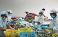 Ứng phó hàng rào phi thuế quan: Phải nắm vững thông tin