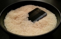 Mỹ - Hàn đạt được thỏa thuận về hạn ngạch nhập khẩu gạo từ ngày 1/1/2020