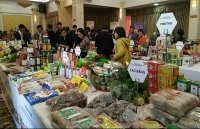 Kết nối cung - cầu: Triển khai rộng khắp và hiệu quả