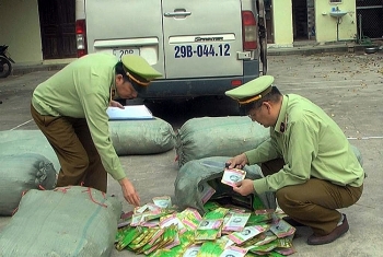 Hạt giống kém chất lượng: Dễ mua, khó quản