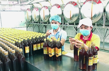 Xuất khẩu mật ong: Gắng giữ thị trường Mỹ dù bị kiện chống bán phá giá