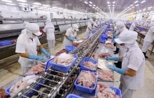 Xuất khẩu cá tra trong tháng 10 giảm sâu nhất kể từ đầu năm