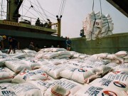 Bài II: Việt Nam trong tiến trình hội nhập Cộng đồng kinh tế Asean