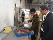 Kiểm tra đùi gà Mỹ nhập khẩu: Chưa phát hiện vi phạm