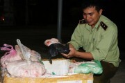 Phú Yên: Tiêu hủy 100kg mỡ heo không rõ nguồn gốc