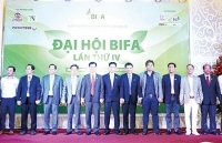 Hiệp hội Chế biến gỗ tỉnh Bình Dương: “Điểm tựa” cho doanh nghiệp ngành gỗ