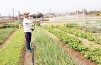 Khởi nghiệp thành công từ Quỹ việc làm