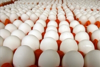 Hà Nội: Nguồn cung rau xanh dồi dào, giá trứng gia cầm hạ nhiệt