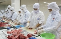 Xuất khẩu cá ngừ hạn chế vì thiếu nguyên liệu