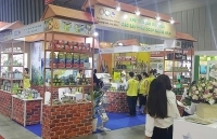 Quảng Ninh: Phát triển ngành dịch vụ có lợi thế