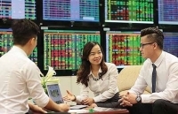 Triển vọng sáng với chứng khoán 2019