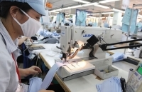 Năm tăng trưởng “đột biến” của dệt may Việt Nam