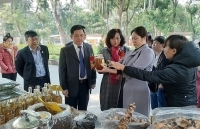 Xúc tiến, quảng bá sản phẩm hợp tác xã năm 2019 tại khu vực phía Nam