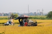 GDP thêm 935 nghìn tỷ đồng/năm