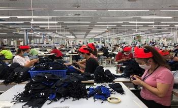 Hoạt động xuất khẩu hàng hóa của tỉnh Bình Thuận năm 2021 ước tăng 23,2%